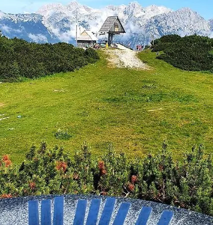 Koca Velika Planina - Kamrica בקתה
