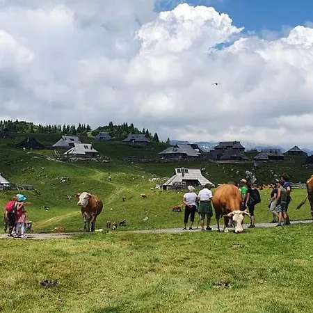 Chalet Koca Velika Planina - Kamrica