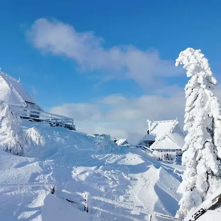 Koca Velika Planina - Kamrica Chalet Stahovica