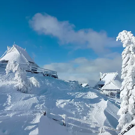 Koca Velika Planina - Kamrica