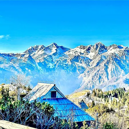 Koca Velika Planina - Kamrica * Stahovica