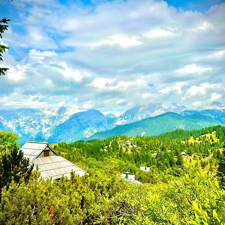 Koca Velika Planina - Kamrica