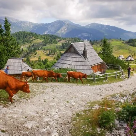 Koca Velika Planina - Kamrica Brvnara *