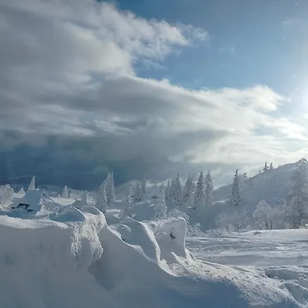 木屋 Koca Velika Planina - Kamrica Stahovica