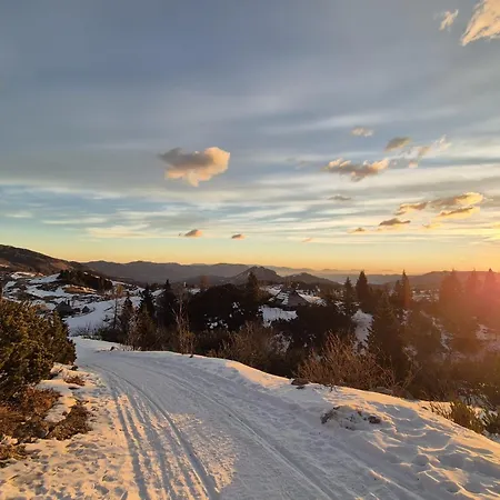 木屋 Koca Velika Planina - Kamrica *