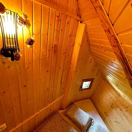 Chalet Koca Velika Planina - Kamrica Stahovica