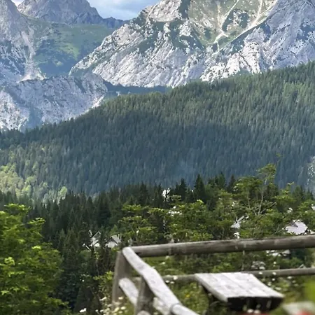 Chalet Koca Velika Planina - Kamrica Stahovica