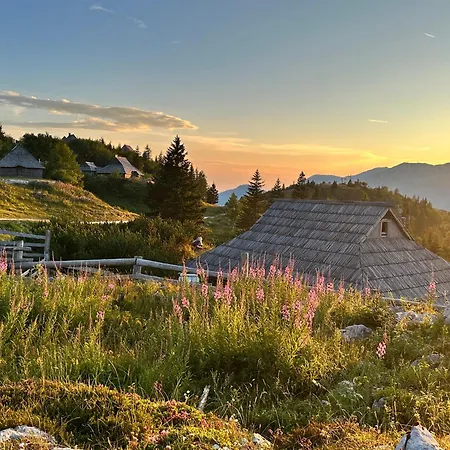 Koca Velika Planina - Kamrica Brvnara
