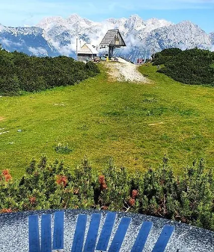 Koca Velika Planina - Kamrica Horská chata