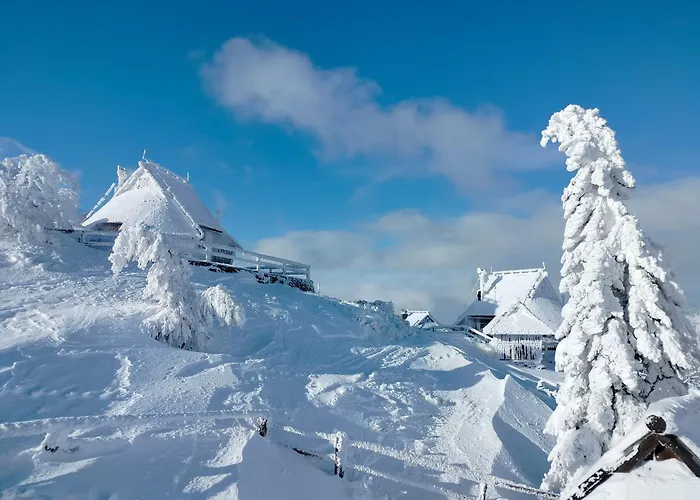 Koca Velika Planina - Kamrica