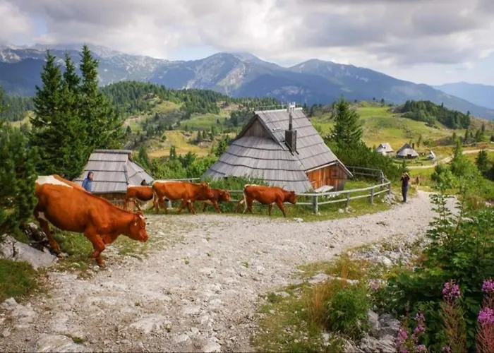 Koca Velika Planina - Kamrica Horská chata *