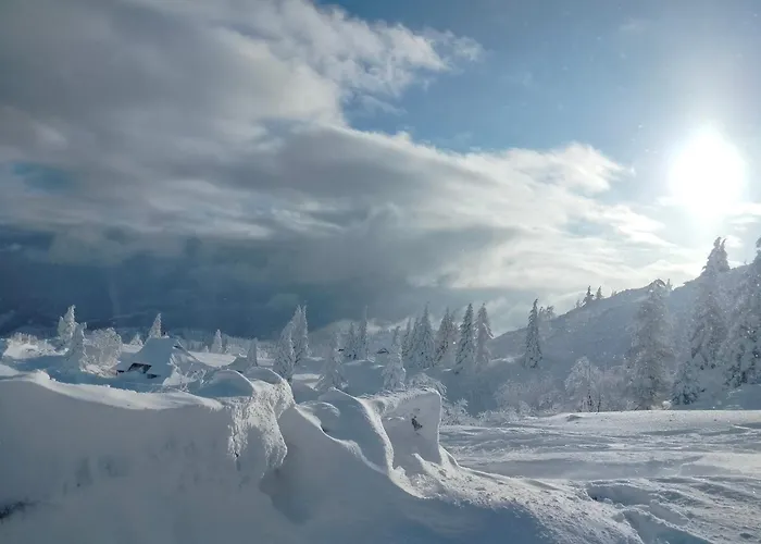 Horská chata Koca Velika Planina - Kamrica Stahovica